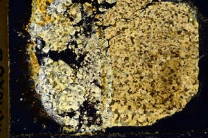 Cross Polarized, S34841/A