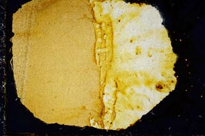 Cross Polarized, S34844/A