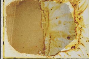 Plane Polarized, S34844/A