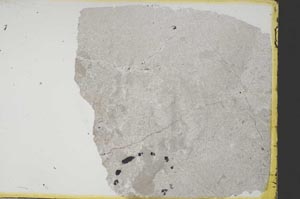 Plane Polarized, S34845