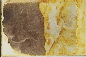 Plane Polarized, S34845/A