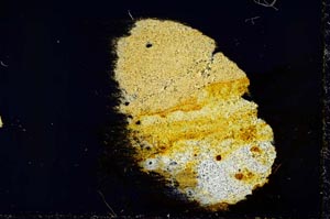 Cross Polarized, S34845/B