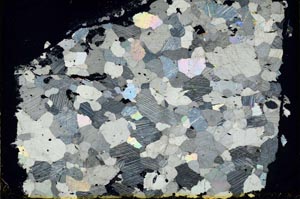 Cross Polarized, S34853