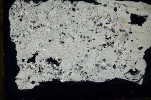 Cross Polarized, S34858