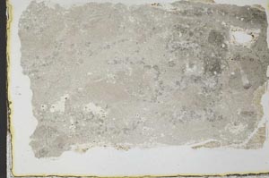 Plane Polarized, S34858