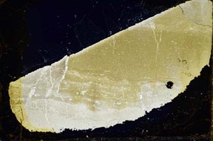 Cross Polarized, S34860