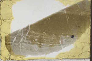 Plane Polarized, S34860