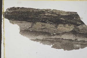 Plane Polarized, S34866