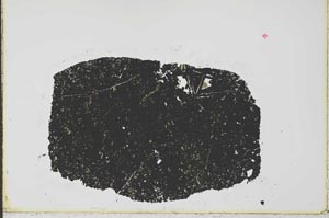 Plane Polarized, S34869