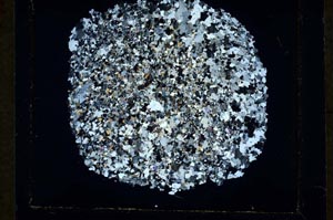 Cross Polarized, S34882