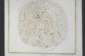 Plane Polarized, S34882