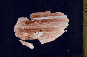 Cross Polarized, S34900