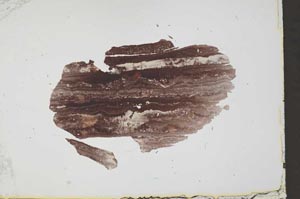 Plane Polarized, S34900