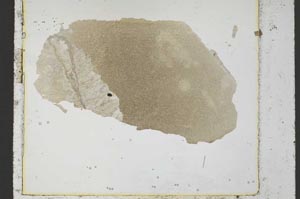 Plane Polarized, S34901