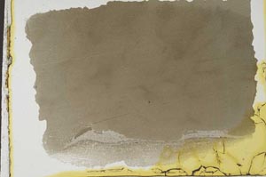 Plane Polarized, S34902