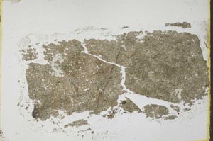 Plane Polarized, S34906