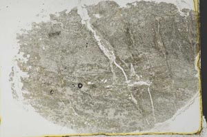 Plane Polarized, S34909
