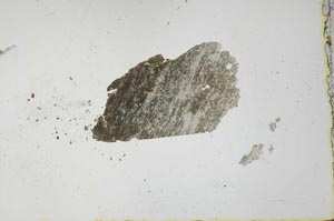Plane Polarized, S34910