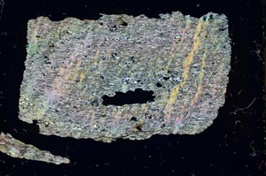 Cross Polarized, S34912