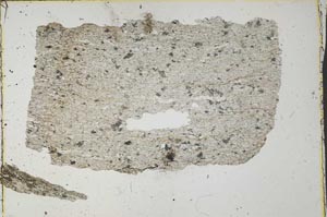 Plane Polarized, S34912