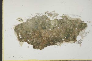Plane Polarized, S34923