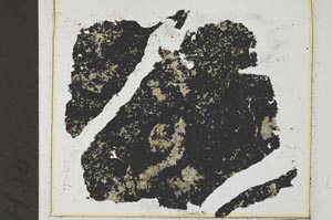 Plane Polarized, S34927