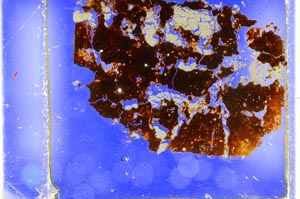 Cross Polarized, S34928