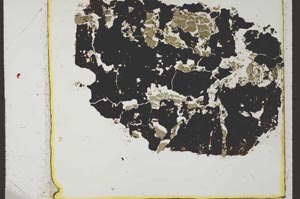 Plane Polarized, S34928