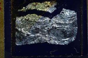Cross Polarized, S34931