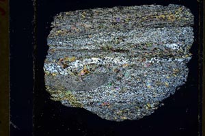 Cross Polarized, S34937