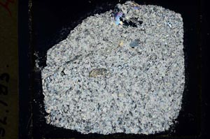 Cross Polarized, S34948