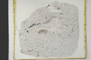 Plane Polarized, S34948