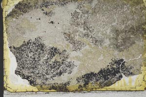 Plane Polarized, S34962
