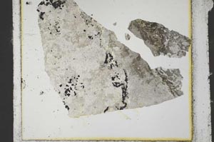 Plane Polarized, S34967