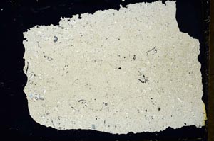 Cross Polarized, S34973