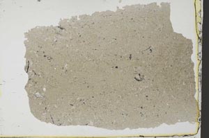 Plane Polarized, S34973