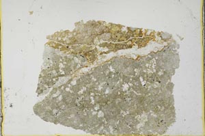 Plane Polarized, S34980/A