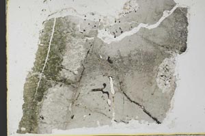 Plane Polarized, S34981