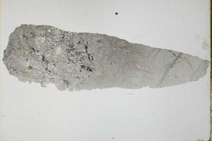 Plane Polarized, S34981/A
