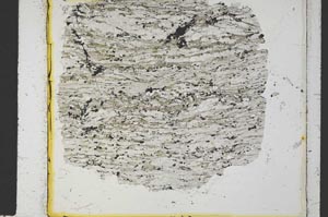 Plane Polarized, S34993