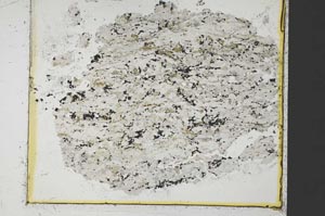Plane Polarized, S34994