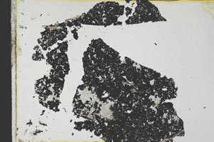 Plane Polarized, S35024