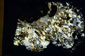 Cross Polarized, S35039