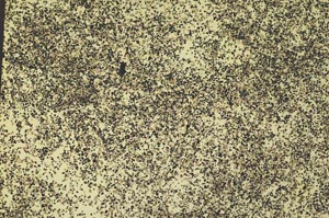 Plane Polarized, S35057