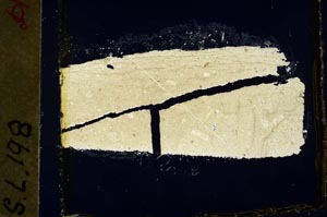 Cross Polarized, S35063