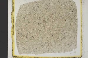 Plane Polarized, S35068