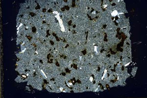 Cross Polarized, S35078