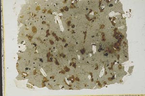 Plane Polarized, S35078