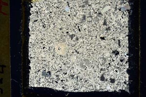 Cross Polarized, S35082