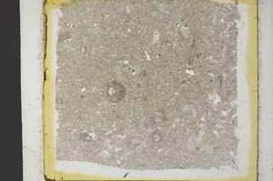 Plane Polarized, S35082